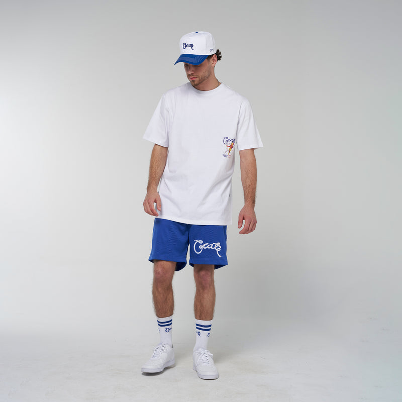 Crate Basic Script Mesh Shorts