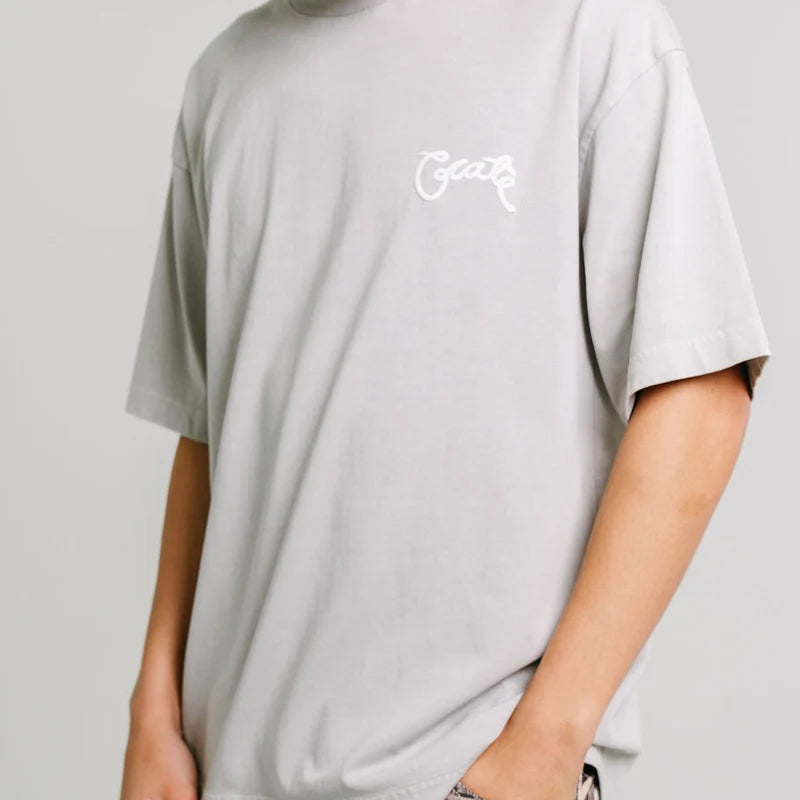 MEN'S SCRIPTED BOX FIT T-SHIRT