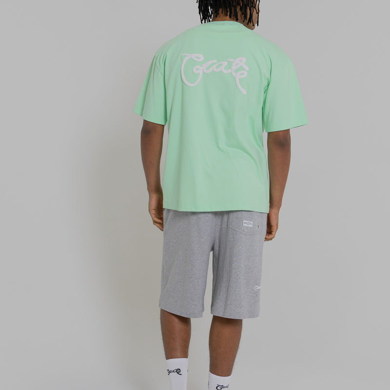 MEN'S SCRIPTED BOX FIT T-SHIRT