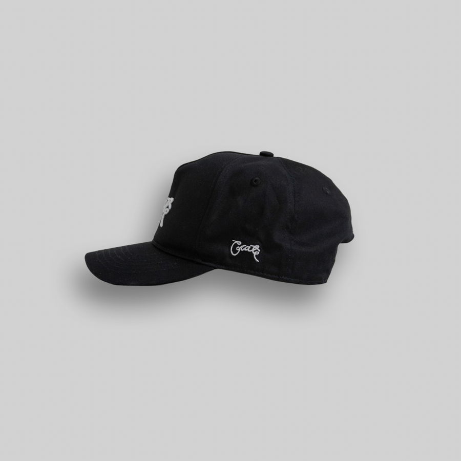 Crate Scripted Snapback