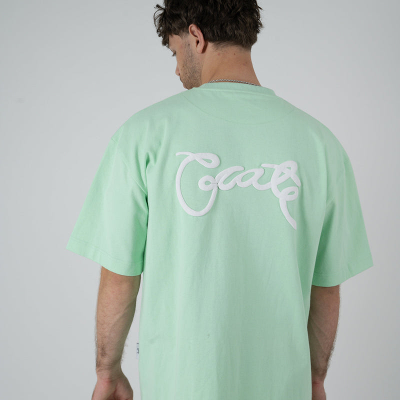 MEN'S SCRIPTED BOX FIT T-SHIRT