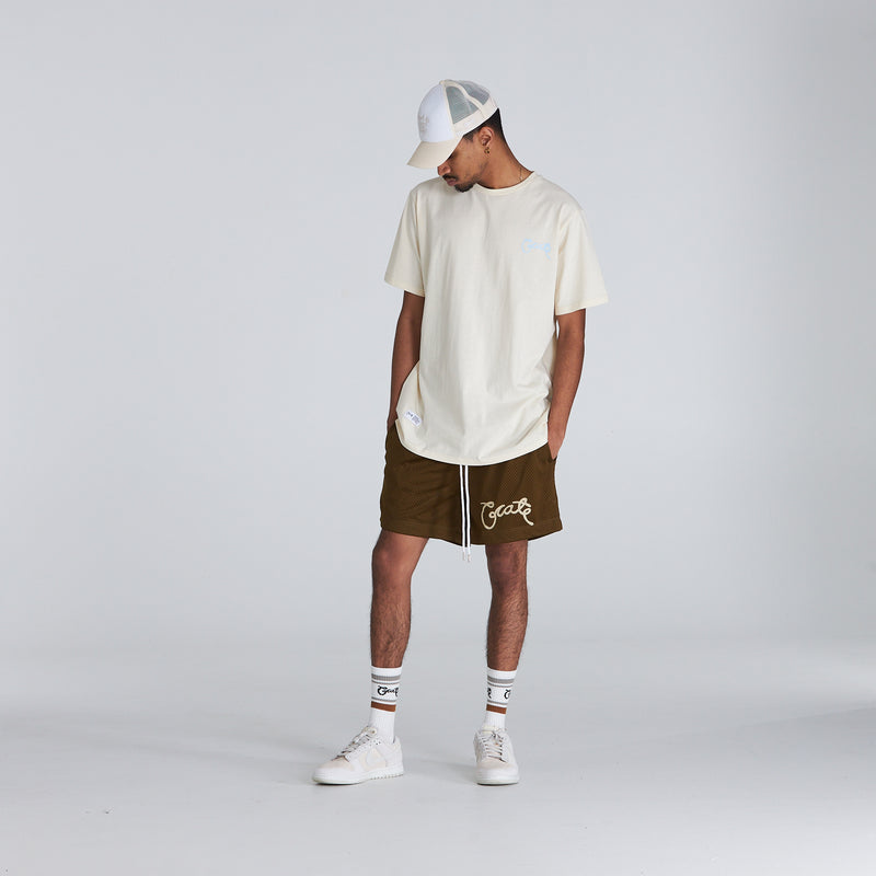 Men's Scripted Mesh Shorts