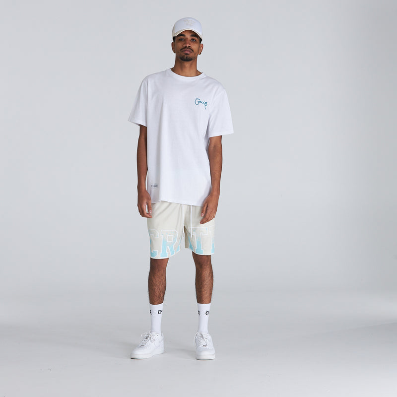 SS22 Men's Iconic Mesh Shorts