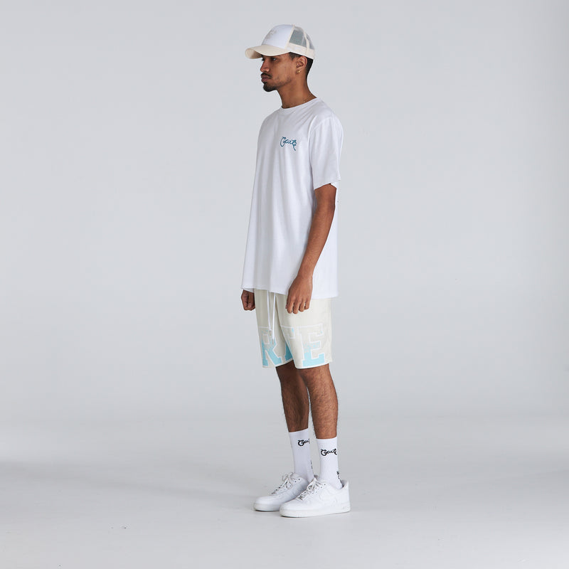 SS22 Men's Iconic Mesh Shorts